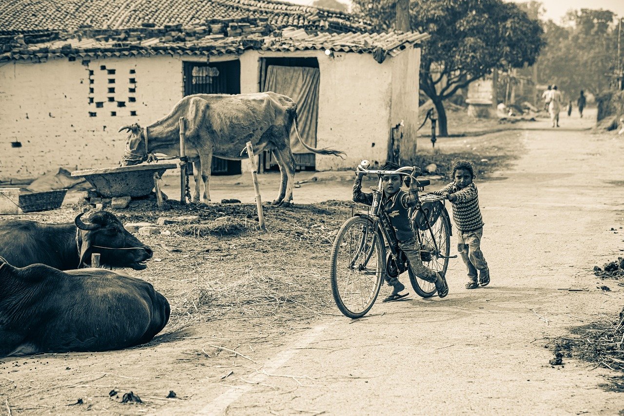Sodziu: A Glimpse into Lithuanian Countryside Life and Culture